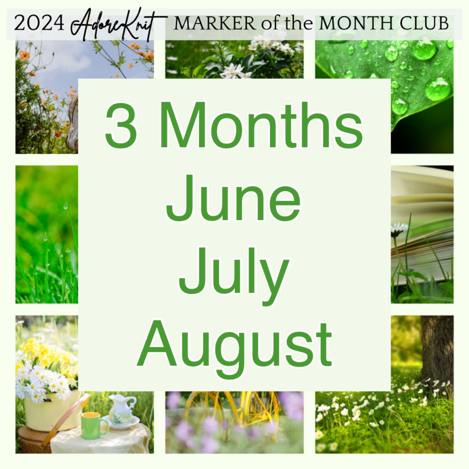 2024 Marker of the Month Club, a monthly surprise set of five progress markers - AdoreKnit